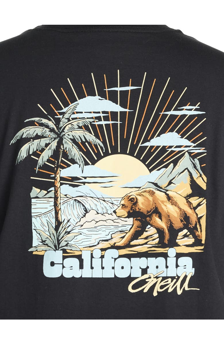 O'Neill Big & Tall Hank The Tank Graphic Tee, Alternate, color, 