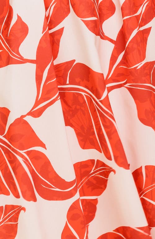 Flying Tomato Halter Maxi Dress In Brown