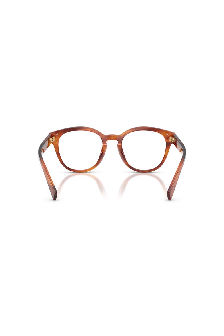 50mm Phantos optical glasses, Alternate, color, Brown
