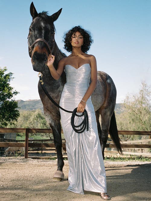 Miss Circle Sable Ruched Glitter Mermaid Gown In Silver