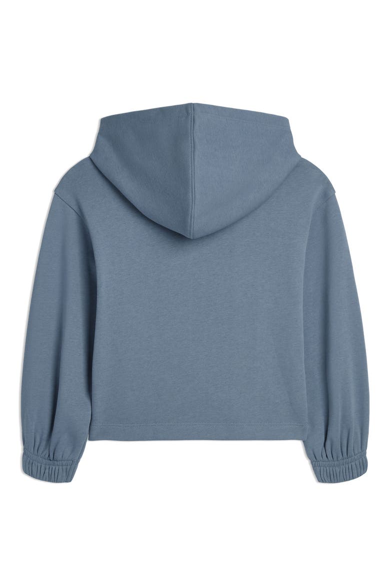 Kids' Class Pack Cotton Blend Fleece Hoodie, Alternate, color, SKY/ PEWTER