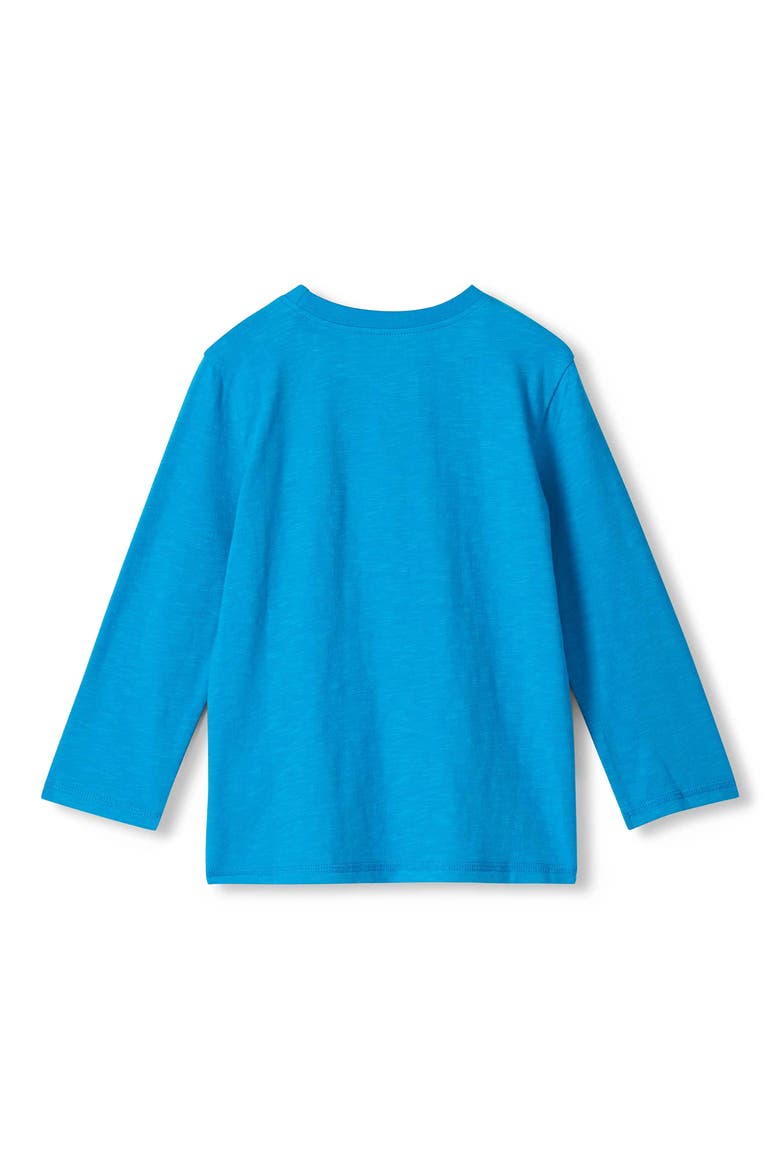 Kids' Skiing Bear Long Sleeve Cotton Graphic T-Shirt, Alternate, color, BLUE JAY