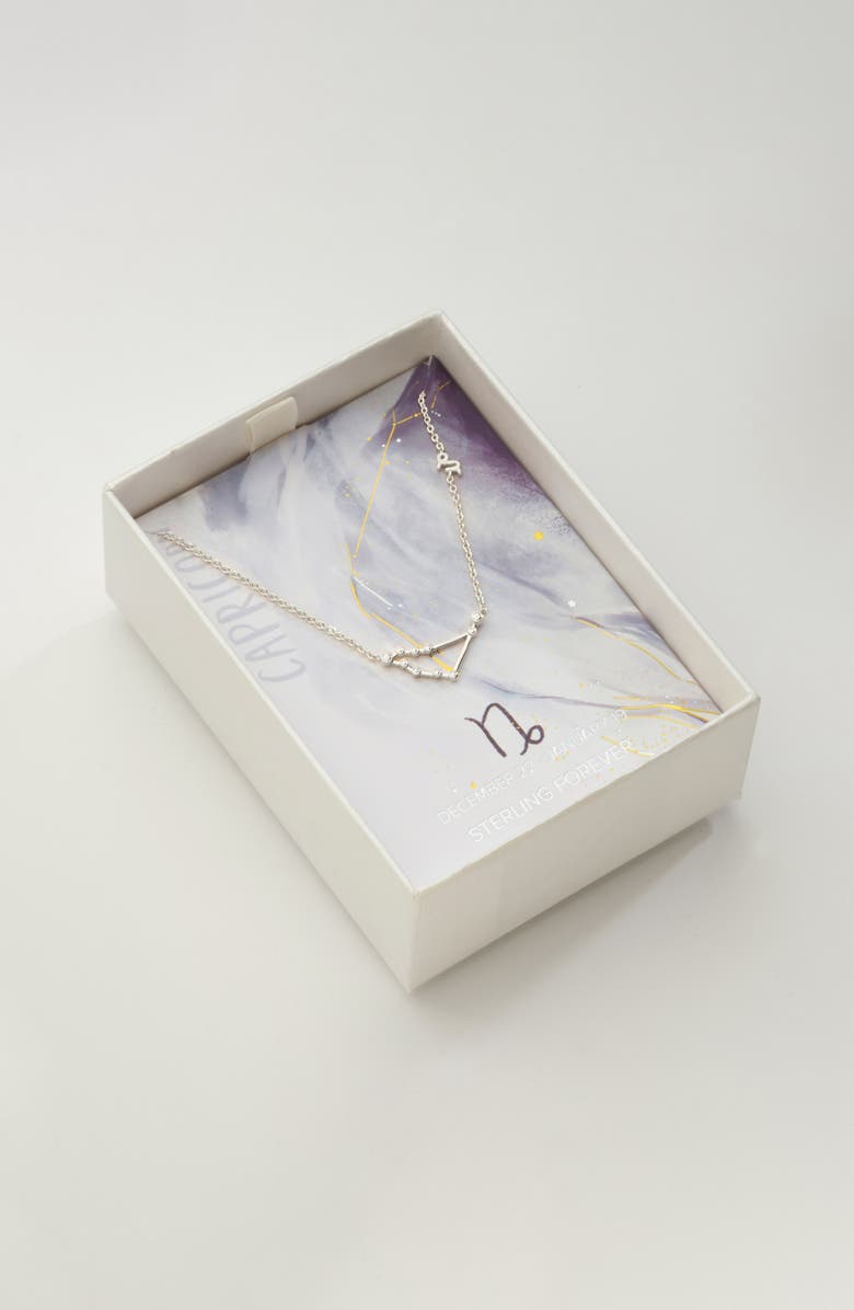 Sterling Forever 14K Gold Plated Station Constellation Pendant Necklace, Main, color, Silver - Capricorn