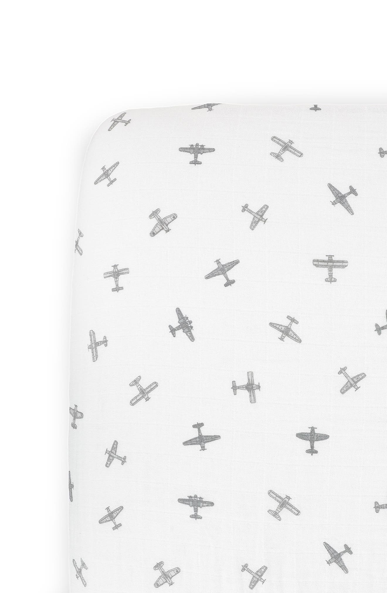 PEWTER PLANES