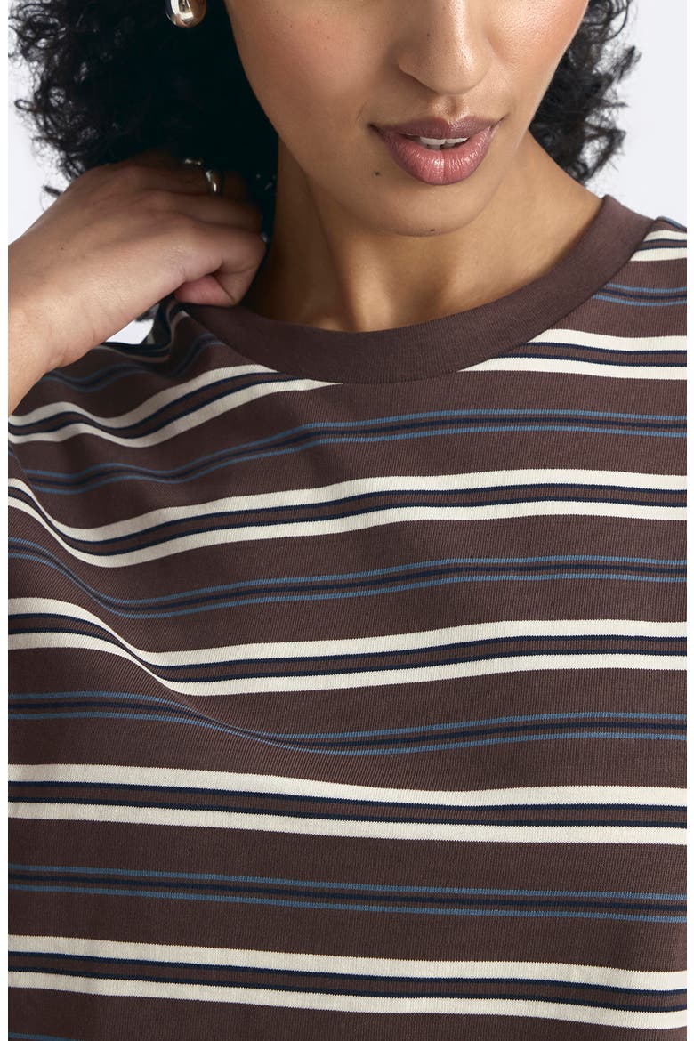 Stripe Cotton Jersey T-Shirt, Alternate, color, CHOCOLATE MARTINI ST