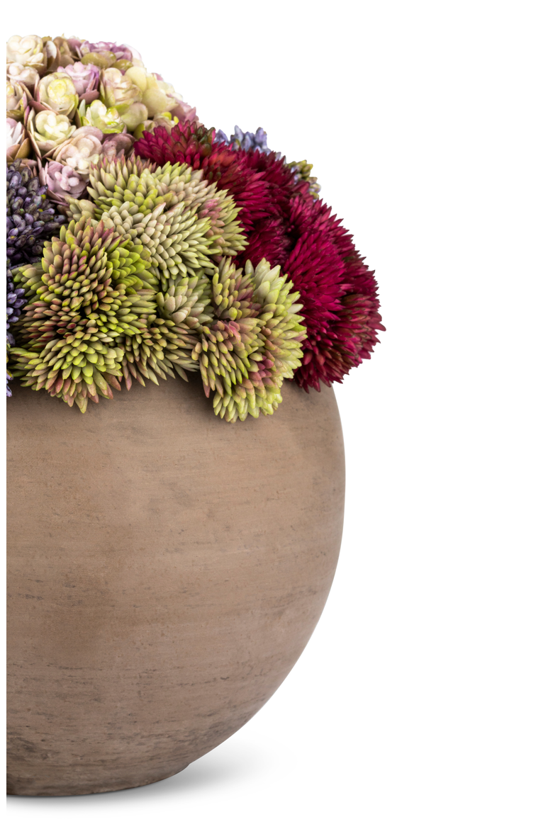 Elias Sedum Arrangement, Alternate, color, Lavender Mélange