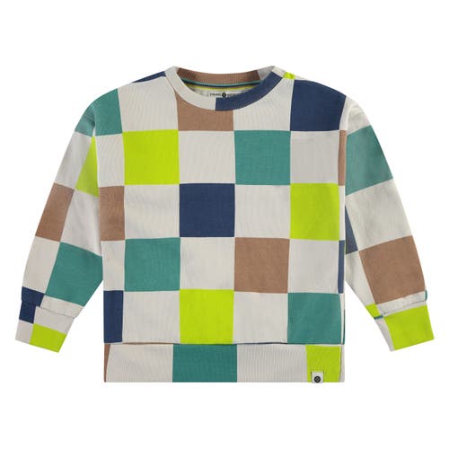 Stains And Stories By Babyface Kids' Multi-color Check Sweatshirt
