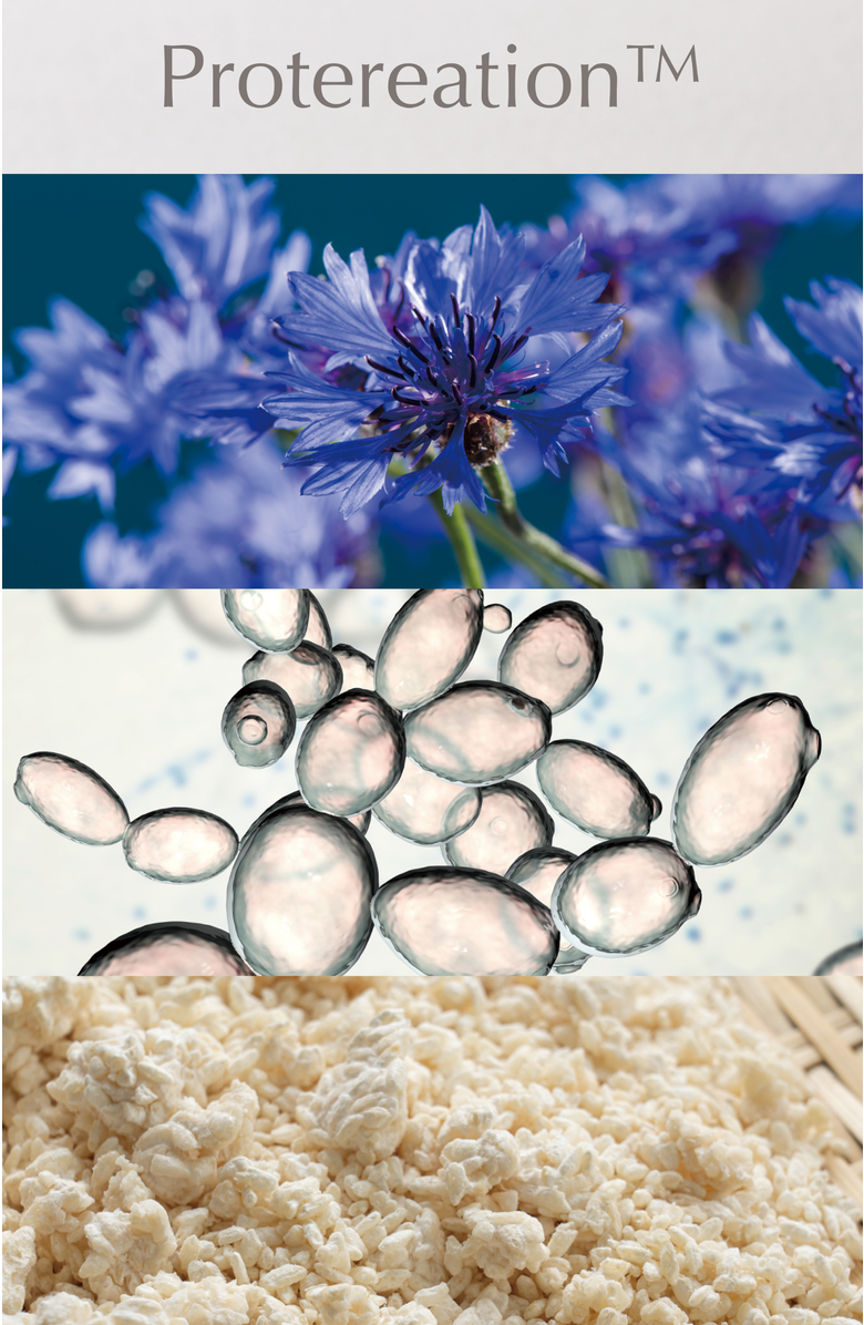 ALBION AUTHENTIQUE The Cleansing Gel Oil, Alternate, color, 140G