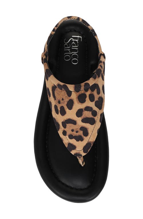 Franco Sarto Jocelyn Leopard Print Sandal In Brown