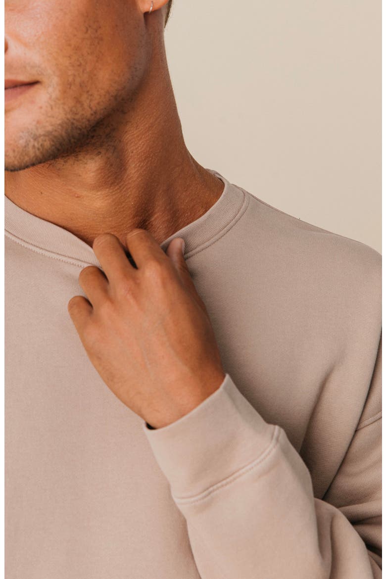 Men's Organic Cotton Teddy Oversized Crewneck, Alternate, color, Fawn