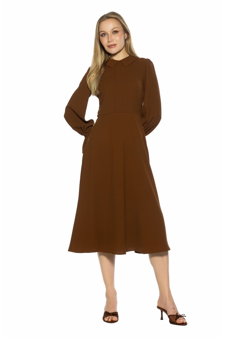 Lana Fit & Flare Midi Dress, Alternate, color, BROWN