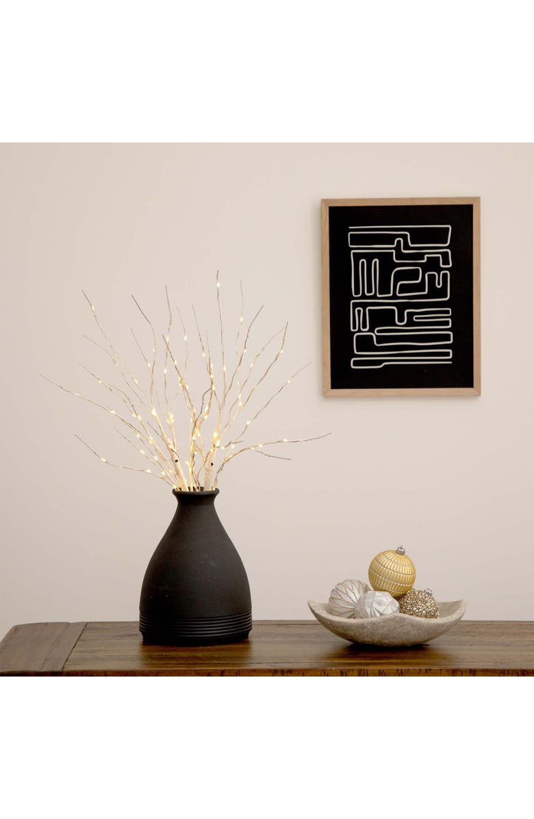 NEARLY NATURAL 24-in Pre-Lit Artificial White Birch Branches with 80 Warm White LED Lights - Set of 2, Alternate, color, White