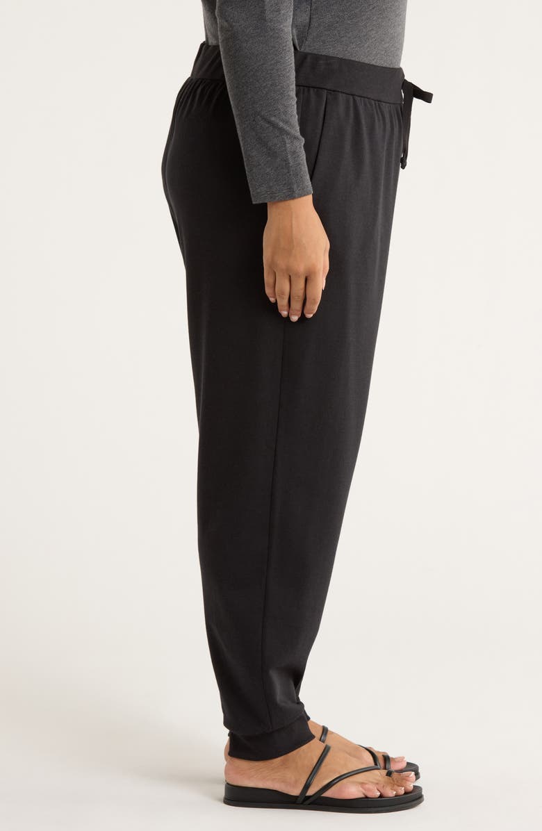 Eileen Fisher Terry Ankle Pants, Alternate, color, Black
