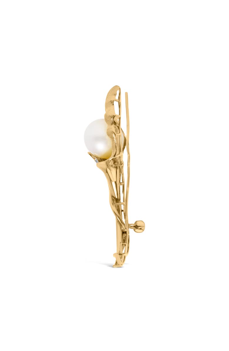 Haus of Brilliance 18K Gold 2/5 Cttw Diamond and South Sea Pearl Flower Pin Brooch, Alternate, color, Yellow