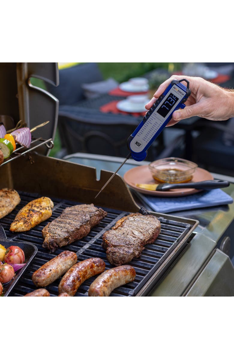 Maverick Pro-Temp Professional Thermocouple Thermometer, Blue, Alternate, color, Blue