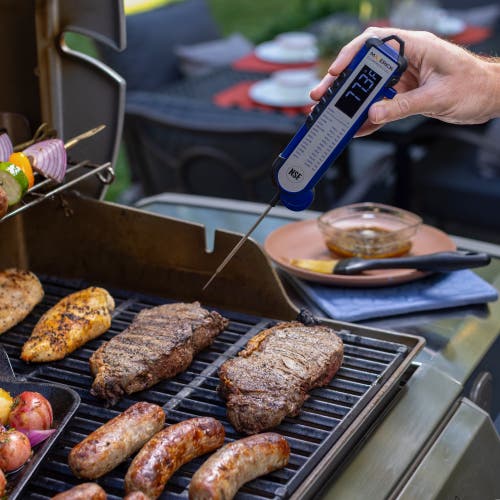 Maverick Pro-temp Professional Thermocouple Thermometer, Blue In Blue