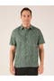  Smoky Basil Palm Daze Print