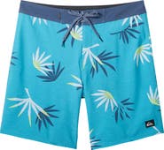 Quiksilver Surfsilk Board Shorts