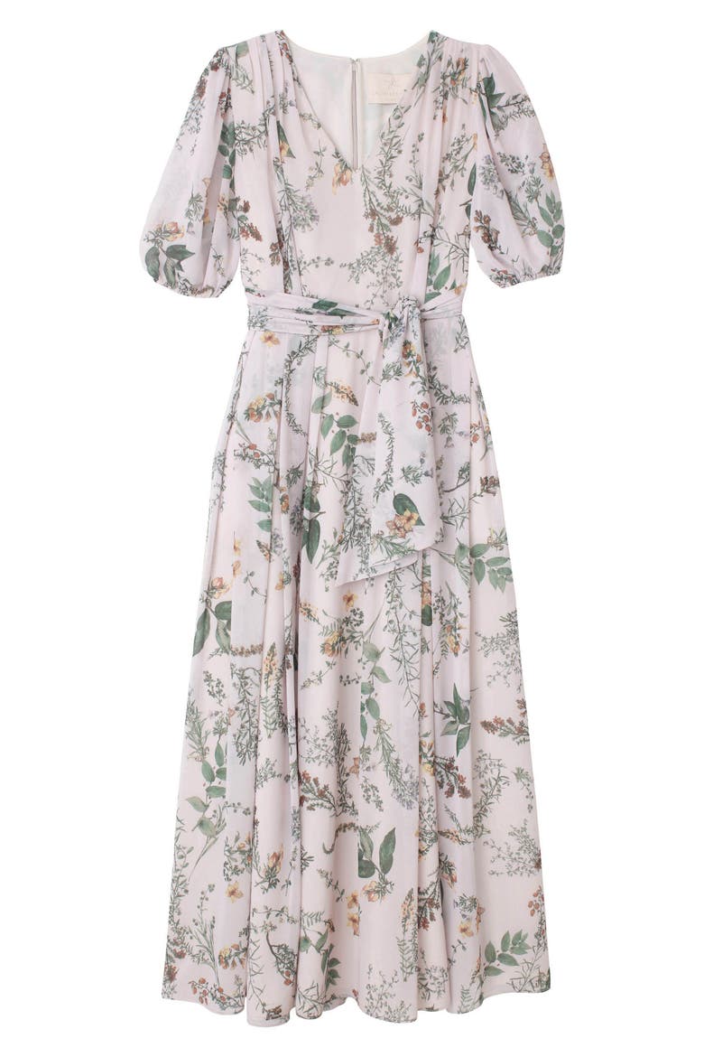 Phoebe Floral Puff Sleeve Chiffon Maxi Dress, Alternate, color, BLUSH