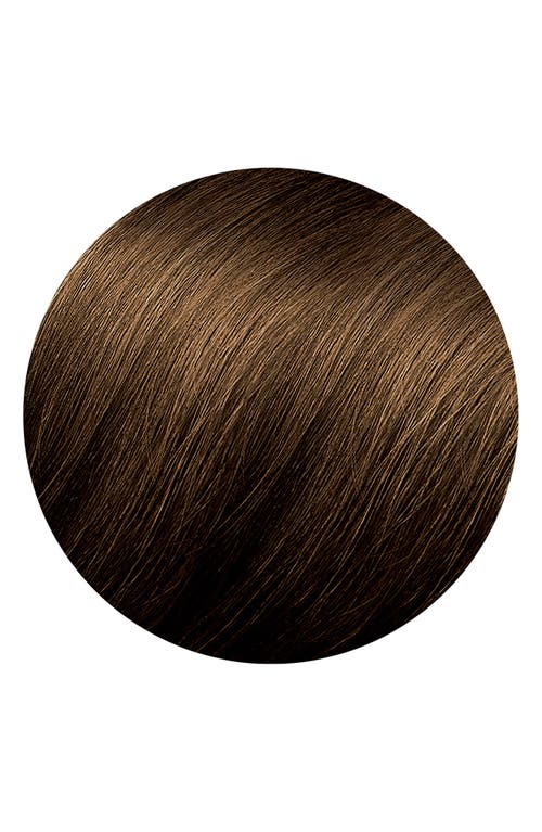 Phyto Color Permanent Hair Color In 5.3 Light Golden Brown