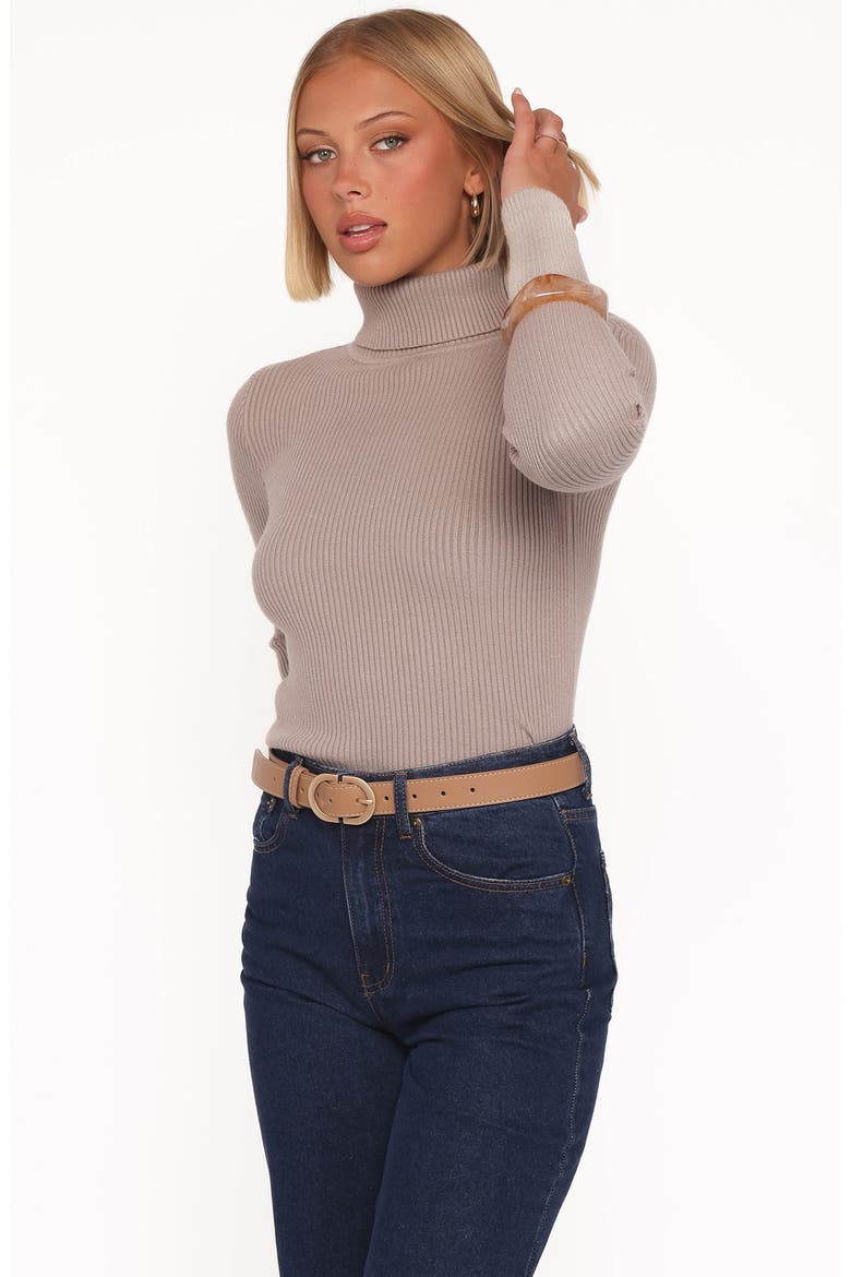 Cecil Turtleneck Rib Sweater, Alternate, color, MUSHROOM