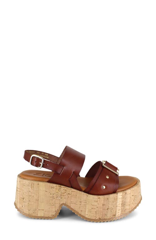 Zigi Belixy Platform Sandal In Tan