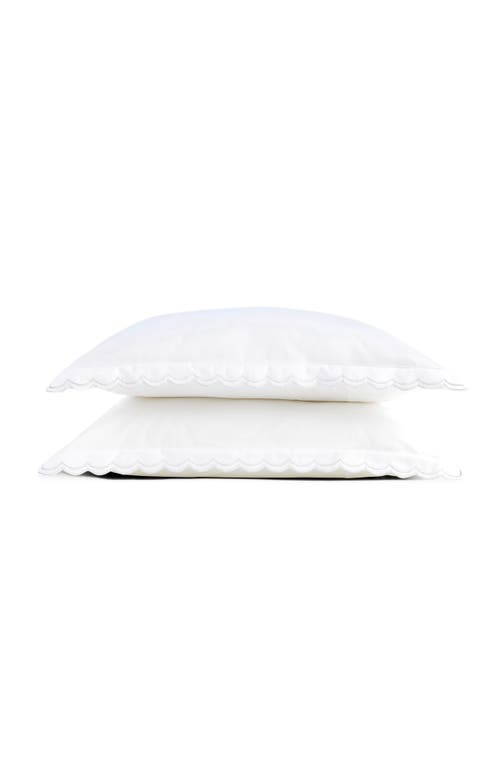 Christy Scallop Edge Luxury Cotton Sateen Oxford Style Pillow Sham Pairs