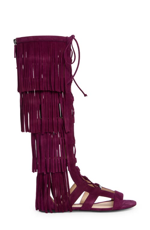 Longchamp Ghillie Lace-up Fringe Sandal In Violet