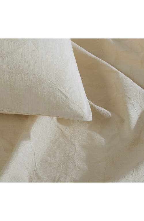 Calvin Klein Branching Leaves Duvet Cover & Sham Set In Cream