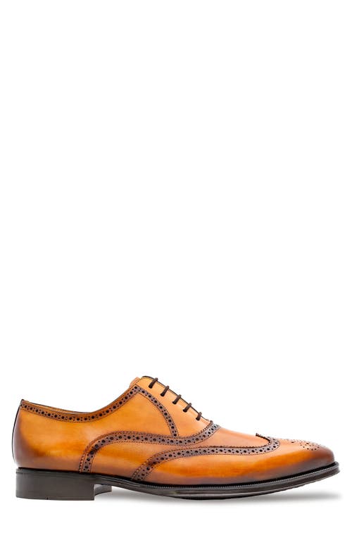 Mezlan Galco Wingtip Oxford In Brown