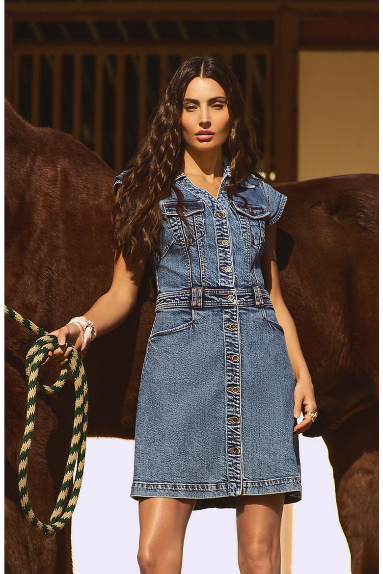 button up jean dress Tencel Denim Dress: Vintage-inspired Fit & Flare With Rose Buttons