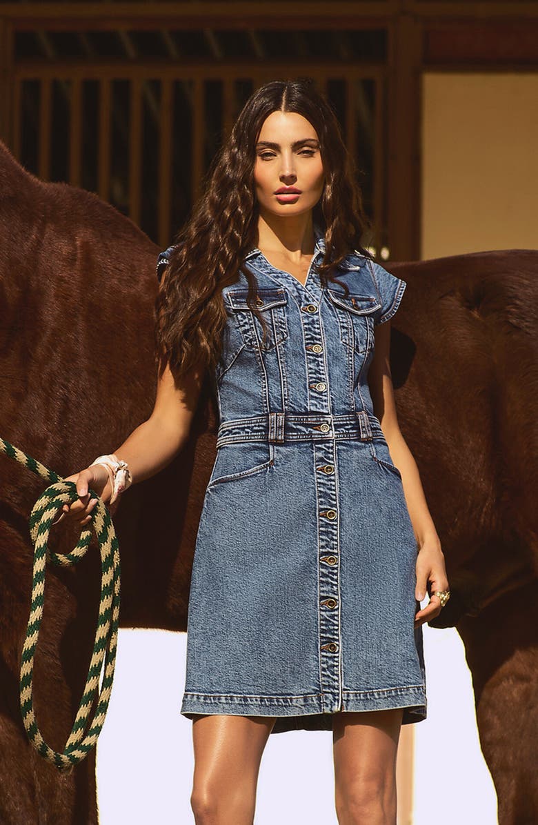 KUT from the Kloth Button-Up Denim Dress, Alternate, color, Smiling