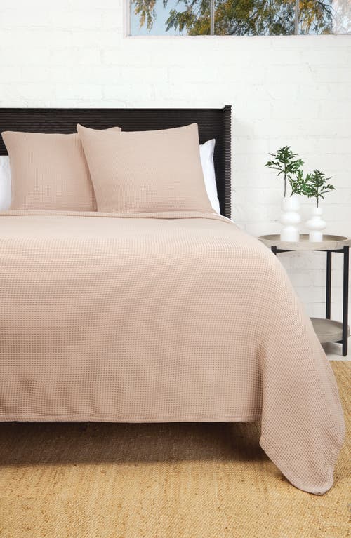 Pom Pom At Home Balboa Blanket In Sand