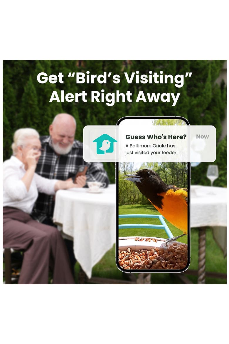AI Smart Bird Feeder, Alternate, color, NO COLOR