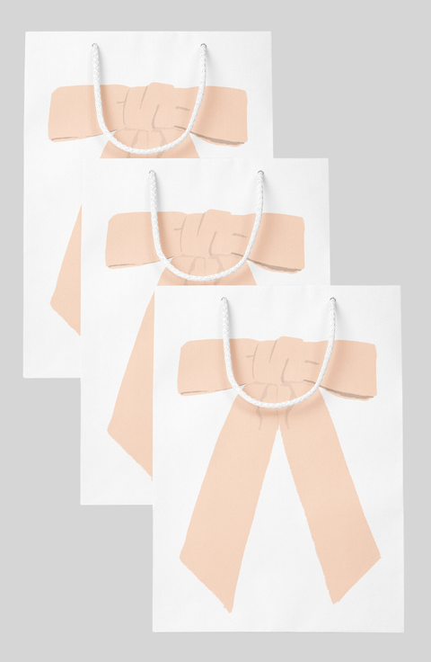 Bow Gift Bag Set of 3