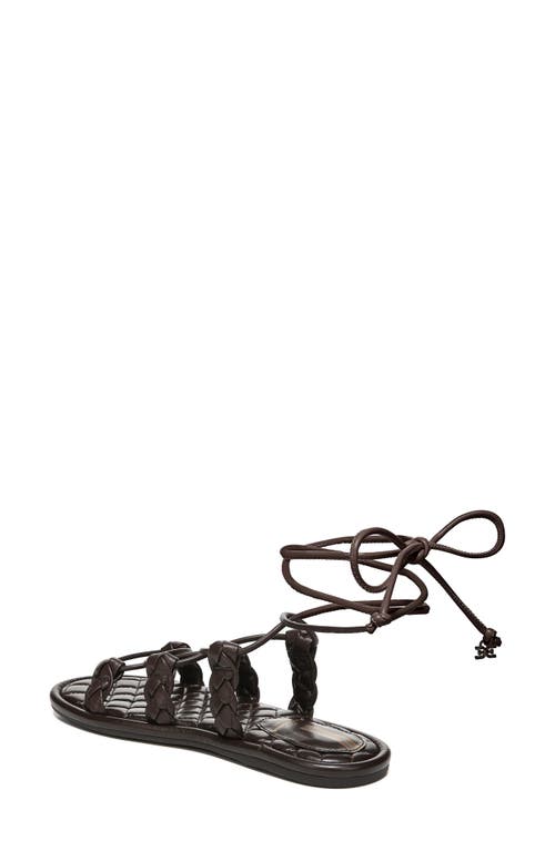 Sam Edelman Zariah Sandal In Dark Chocolate
