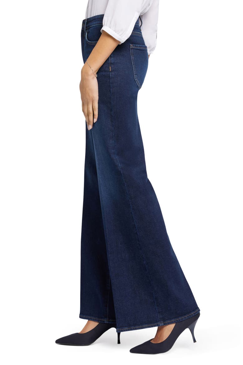 Mia Palazzo High Waist Flare Jeans, Alternate, color, NORTHBRIDGE
