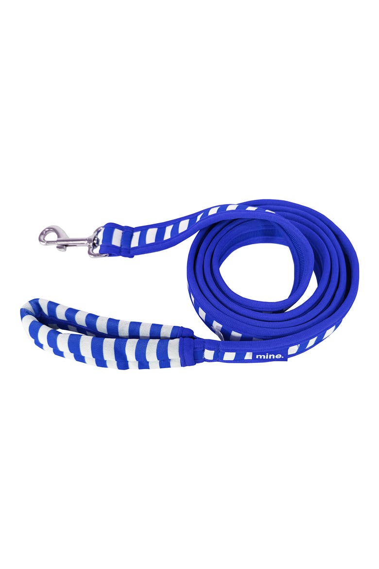 Cabana Stripes Leash, Alternate, color, BLUE