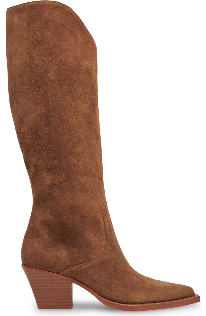 Dolce Vita Raj Pointed Toe Knee High Boot, Alternate, color, Brown Suede