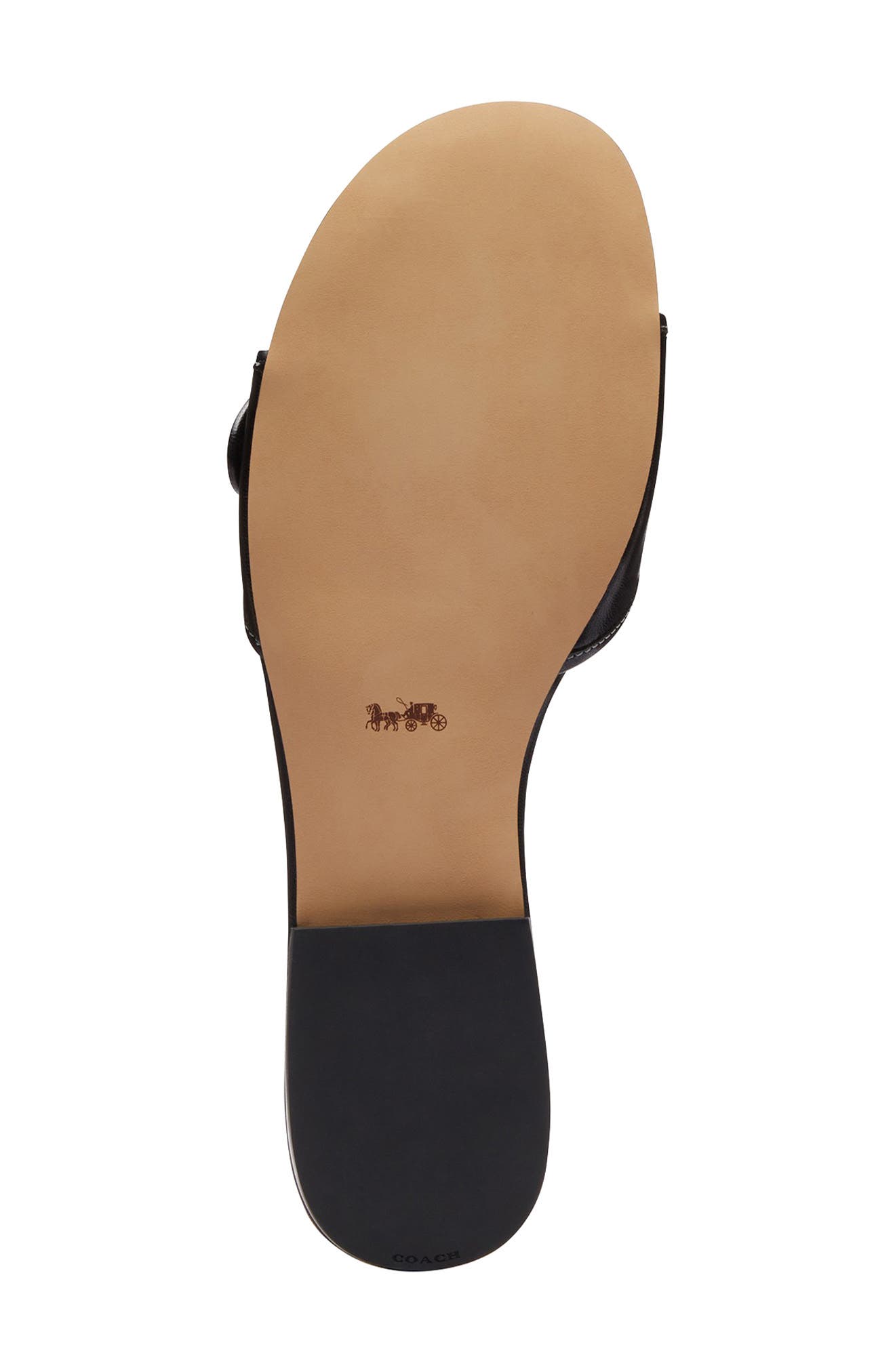 COACH Margot Slide Sandal, Alternate, color, Black