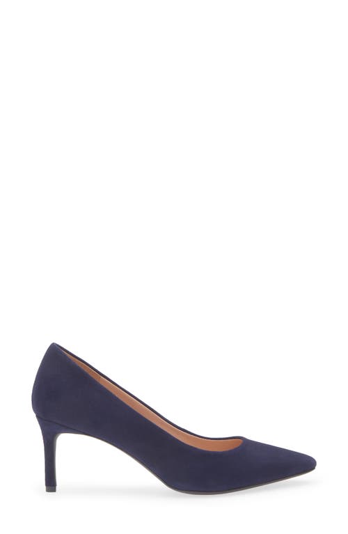 Cole Haan The Go-to Janey Pointed Toe Pump In Blue