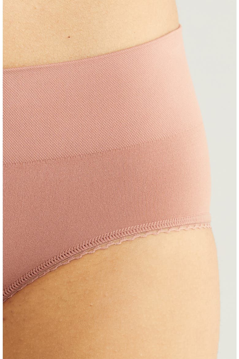 Feeling Flexible Hipster Briefs, Alternate, color, BURLWOOD