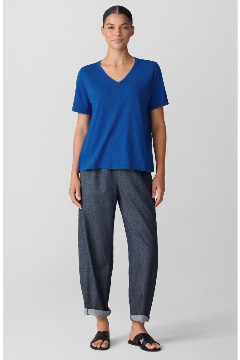 Easy V-Neck Organic Cotton T-Shirt, Alternate, color, BLUEBIRD
