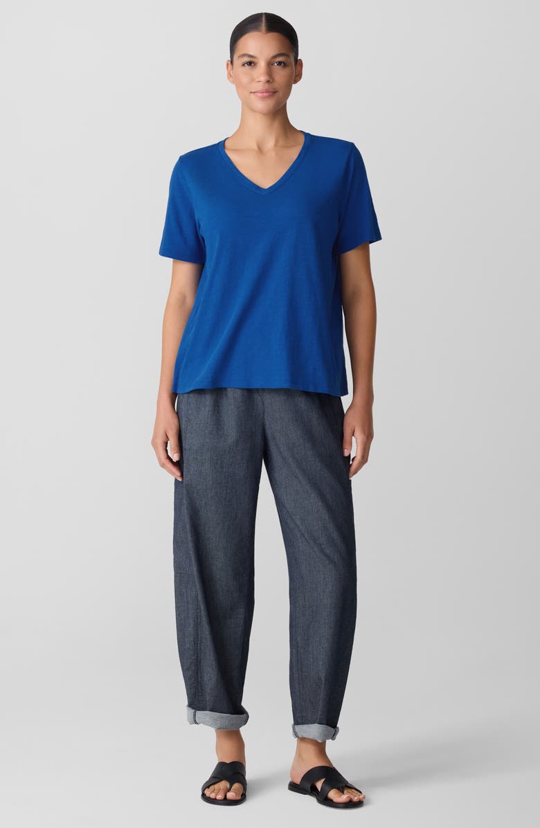 Eileen Fisher Easy V-Neck Organic Cotton T-Shirt, Alternate, color, Bluebird