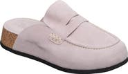 ANTELOPE Rachel Mule