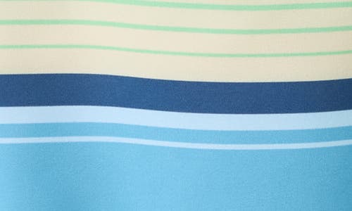 O'neill Leennox Stripe Board Shorts