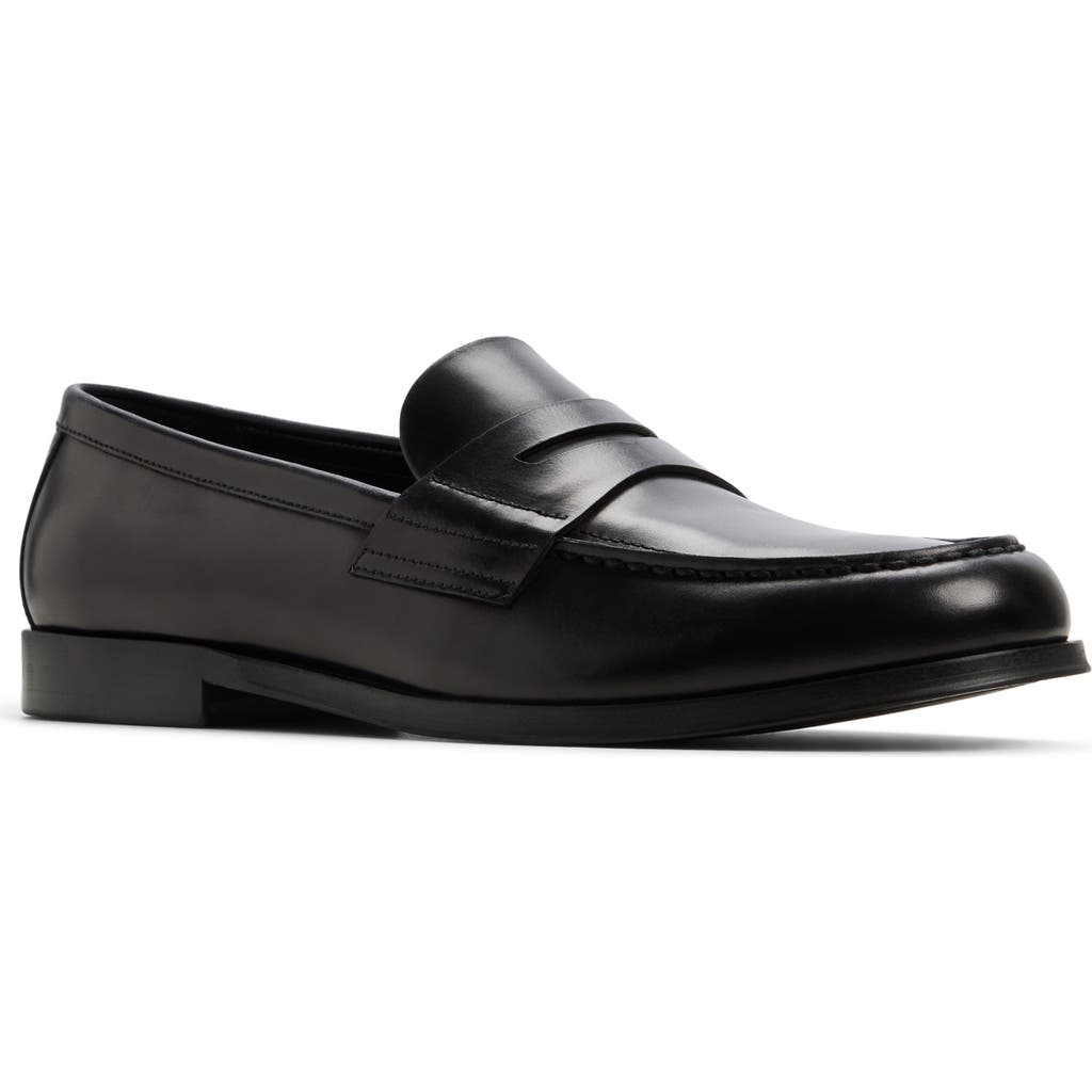Aldo Keifer Penny Loafer In Multi