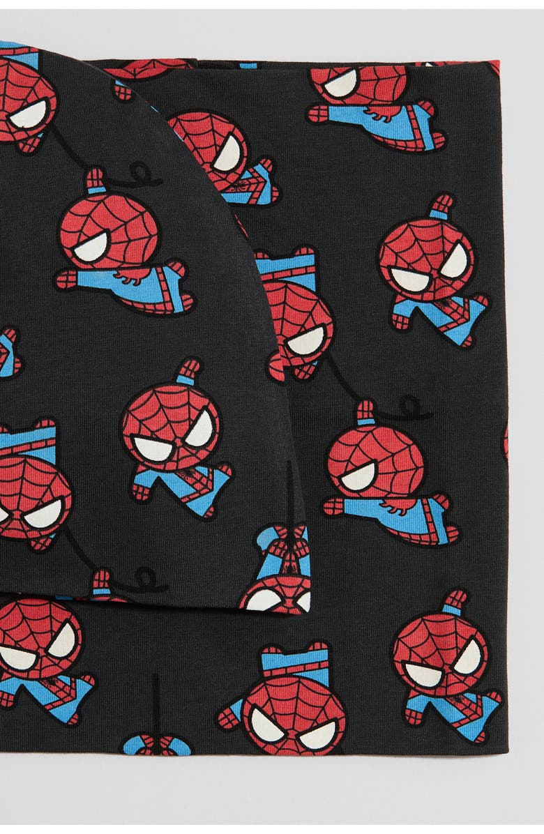 H&M 2-piece Beanie And Tube Scarf Set, Alternate, color, Dark Gray/Spider-Man