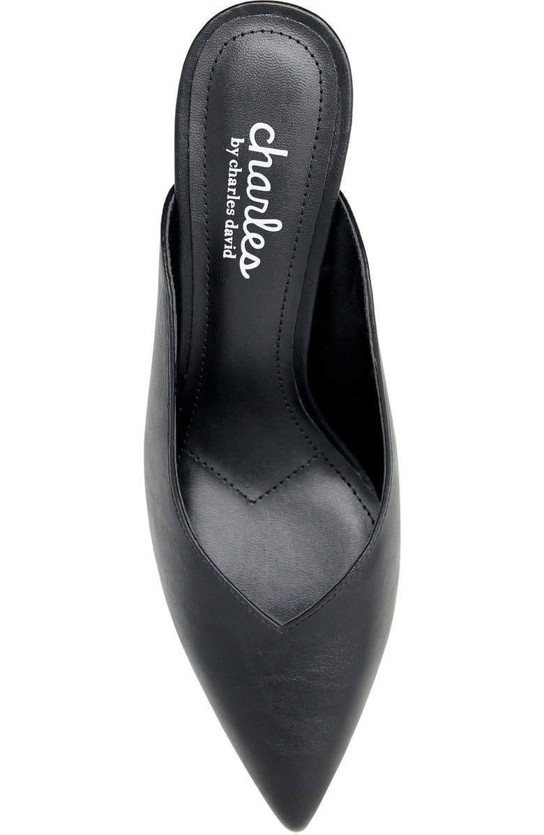 Charles by Charles David Addison Mule, Alternate, color,