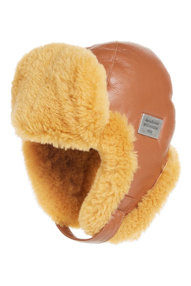 Belmet Leather & Genuine Shearling Hat, Main, color, RUST BROWN